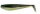 FOX - RAGE ZANDER PRO SHADS 4&quot; (10cm) Farbe: Arkansas Shiner