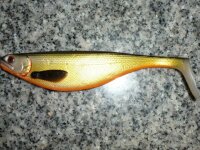 WESTIN Shad Teez 160mm Farbe: Official Roach  