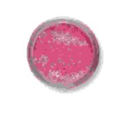 BERKLEY PowerBait TroutBait Select Glitter Farbe: Pink