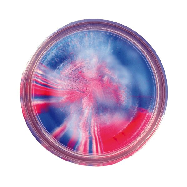 BERKLEY PowerBait TroutBait Natural Scent Garlic Farbe: Captain America