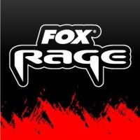 FOX-RAGE fish SNAX Fork Tail 13,5cm 5,3&quot; Farbe: Fire Tiger 