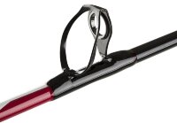 PENN Squadron II Shore CF 302 150-500g